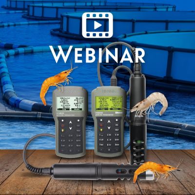 WEBINAR marzo 2026 sitio web jpg