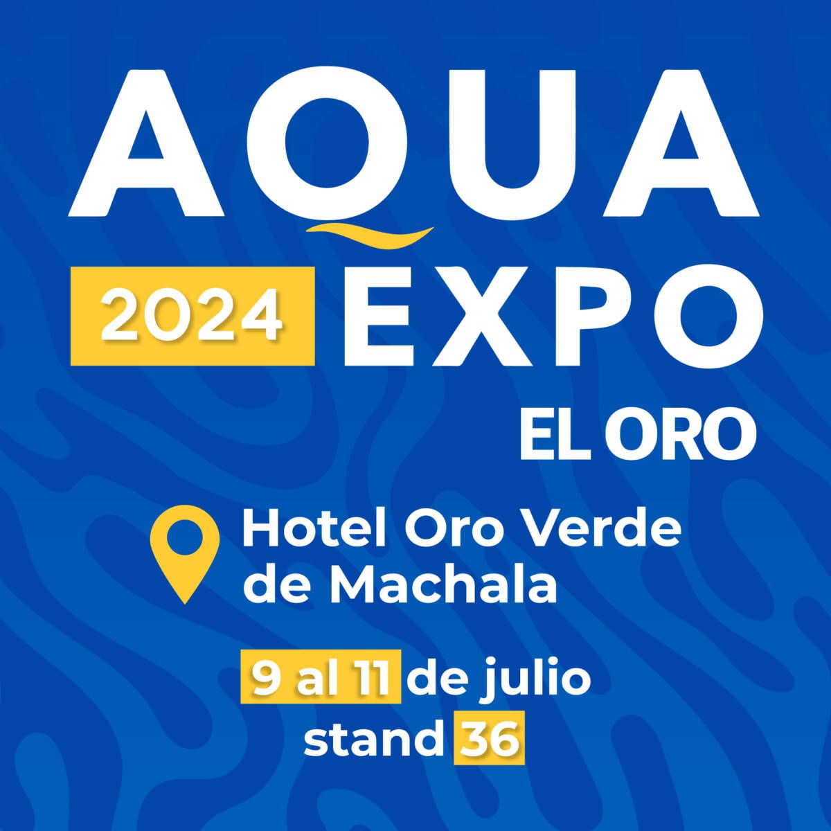 PROMOCIÓN 03 1