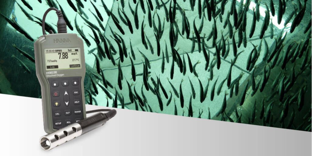 Agua Importancia del oxígeno disuelto en el transporte HI98198 100